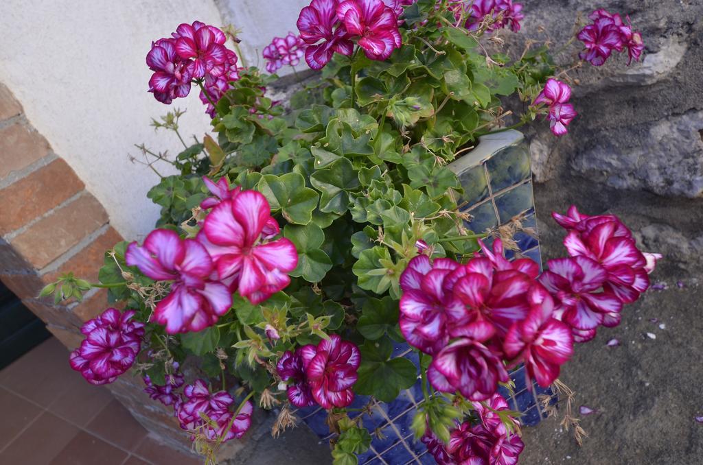 Baglio La Luna - Bed & Breakfast San Vito Lo Capo
